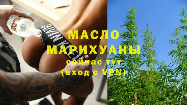 индика Белокуриха