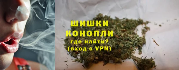 индика Белокуриха